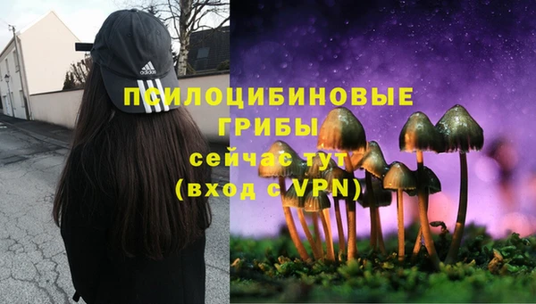 ALPHA PVP Ельня