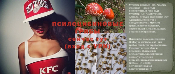 mdpv Елабуга