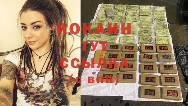 ALPHA PVP Ельня