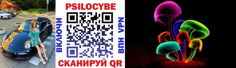 Купить где  Шуя  Псилоцибиновые грибы мухоморы 